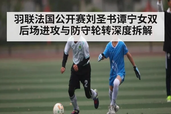 羽联法国公开赛刘圣书谭宁女双后场进攻与防守轮转深度拆解
